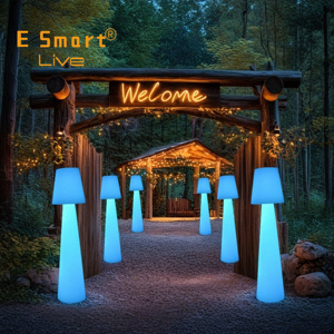 Outdoor <strong>Battery</strong> <strong>Operated</strong> Modern Luxury Decorative Cordless Rechargeable Solar Led Table Light <strong>Floor</strong> <strong>Lamp</strong> for Restaurant Hotel - Product Image 3