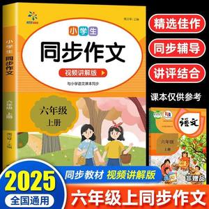 Cahiers de composition synchronisés pour élèves du primaire (3e-6e année) – Volumes supérieur et inférieur – Édition People's Education Press – Écriture illustrée - Product Image 2