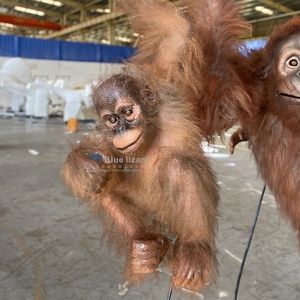Modelo de Familia de Orangutanes Animatrónicos Realistas de Tamaño Natural para Parques de Jungla - Product Image 5