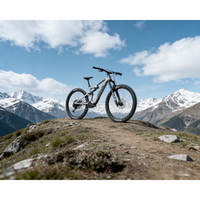 Vélo de montagne électrique Amflow PL Carbon Medium 800Wh Enduro, vélo électrique tout-terrain