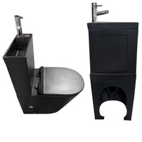 Ensemble WC et lavabo 2-en-1 pour personnes à mobilité réduite, avec robinet et siège, couleur bain