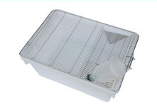 Gabbia R5 Grande da Laboratorio per Allevamento di Ratti in Acciaio Inox e PP per Roditori Ratti SD/Wistar da Laboratorio per Interni 545x395x200mm - Product Image 2