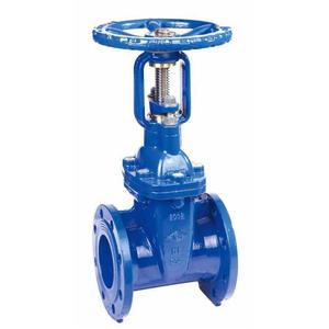มอเตอร์ไฟฟ้าแบบเฟสเดียว ยี่ห้อ German Speck Pump รุ่น 1 นิ้ว สำหรับงานทั่วไป โครงสร้างเหล็กหล่อ - Product Image 2