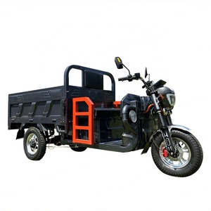 Tricycle Électrique Neuf 1200W à Prix Abordable pour Adultes, Vélo Cargo à 3 Roues avec Benne Basculante, Tricycle Électrique à Caisse Fermée - Product Image 2