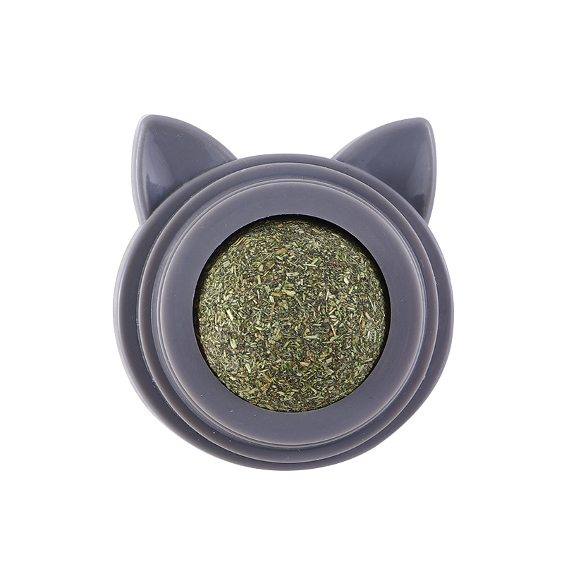 cat gray
