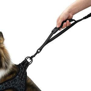 Correa de Nailon Personalizada para Perro con Doble Asa y Liberación Rápida, Reflectante y Acolchada para Seguridad en el Tráfico - Product Image 2