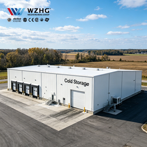 Prefabricated Cold Storage Professional Q355b Steel Structure Engineering Solution Multi Storey Logistics Company - Product Image 1
