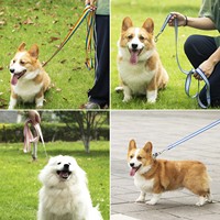 Accessoires pour animaux de compagnie en gros, nouveau collier réglable en nylon, laisse pour animaux de compagnie, collier pour chien et chat pour chiens de petite et moyenne taille