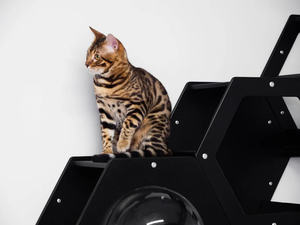 Zwarte Kat Zeshoekige Kat Muur Frame Meubilair Muur Kat <span class=keywords><strong>Tunnel</strong></span> - Product Image 3