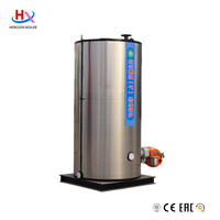 Chaudières verticales entièrement automatiques au gaz pour eau chaude, haute efficacité énergétique, pour le chauffage et l'eau chaude – Fournisseur Fabricant
