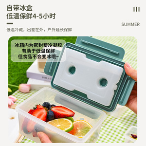 Portable Food Storage <b>Box</b> Rectangle With Ice <b>Pack</b> For Outdoor Picnic Baby <b>Lunch</b> Container - Product Image 1