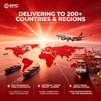 Fret aérien et maritime avec dédouanement DDP |   Transitaire logistique chinois abordable pour les Philippines, le Canada, la Turquie, le Maroc et l'Inde