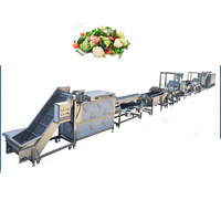 Volledig automatische fruit sorteer-, sorteer- en verpakkingslijn voor appel, sinaasappel en mango met gewichtsselectie