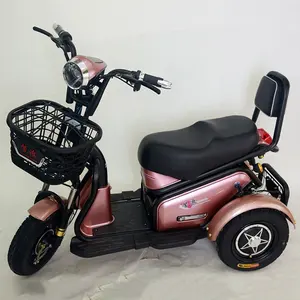 China Factory competitive Price adult small tricycle open electric tricycle