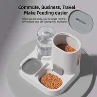 Distributeur automatique d'eau et de nourriture pour animaux de compagnie en plastique, grande capacité, non électrique, station d'alimentation pour chats