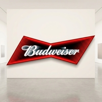 Lumière LED tunnel miroir acrylique, enseigne murale néon 3D effet infini, pour intérieur/extérieur, publicité, IP65, taille personnalisable, certification CE Rohs