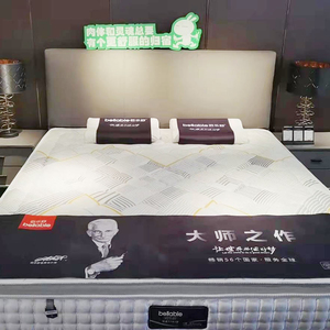 Nệm Colchone Mẫu Miễn Phí Nệm Cao Su Non Cao Cấp Cỡ Queen King Matelas 12 Inch Cho 7 Ngăn Bỏ Túi Nệm Cao Su Non Có Hộp - Product Image 1