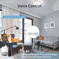 Passerelle de maison intelligente RSH Tuya ZigBee 3.0 + BLE avec télécommande compatible Alexa et Google Assistant, fonctionnant sous Android