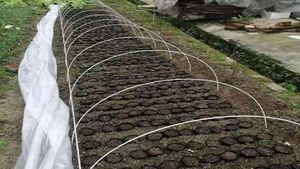 Aangepaste 8Mm 10Mm Hoge Sterkte Gladde Geweven Mal Frp Massieve Stok Staaf Voor Leuningen Pultrusion Grp Glasvezel Snijden Lassen - Product Image 3