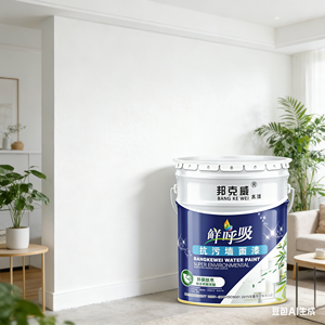 Vernice Murale per Interni a Base d'Acqua - Rivestimento Decorativo Inodore, Anti-Muffa e di Alta Qualità - Product Image 1