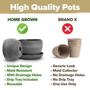 Kit <span class=keywords><strong>d</strong></span>'arbre bonsaï Offre Spéciale cultivé à la maison facile à cultiver 4 espèces pour jardin ensemble de <span class=keywords><strong>d</strong></span>écoration extérieure pour <span class=keywords><strong>espace</strong></span> de sol pour femmes hommes - Product Image 6