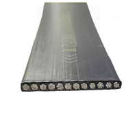Pièces de courroie de traction en acier pour ascenseur Bluelight, pour usage en villa, modèle AAA717X1/AAA717AD1/AAA717AJ1