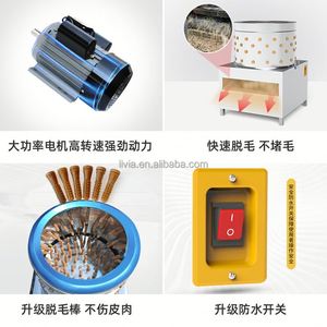 Equipo de eliminación de plumas de pollo y Pájaro de alta calidad, <span class=keywords><strong>aparato</strong></span> para despeinar aves de corral, pollo, <span class=keywords><strong>pato</strong></span>, máquina desplumadora - Product Image 3