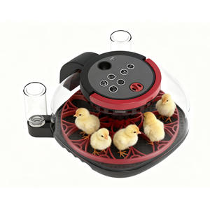 新しいミニホームリモートビジュアル自動卵インキュベータースマート卵回転温度と湿度制御鳩インキュベーター110V/220V - Product Image 6