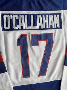 Maillot de hockey personnalisé pour hommes, service OEM, 100 % polyester, séchage rapide, respirant, logo d'équipe imprimé (avant/arrière), détection par aiguille, 7 jours - Product Image 2
