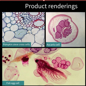 จอ LCD ของกล้องจุลทรรศน์ดิจิตอลสำหรับเด็กกล้องจุลทรรศน์ทดลอง - Product Image 6