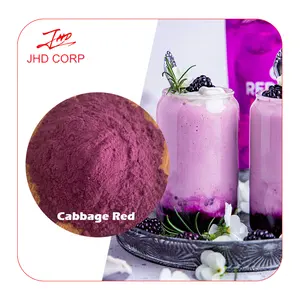 JHD Factory Supply Natural Red Cabbage Extract Color Powder E50 Edible Food Color