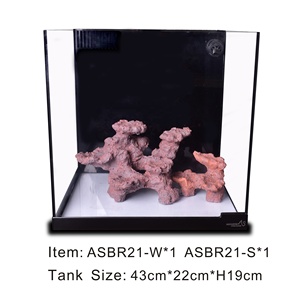 ASBR21-Z Roche Bio-Active d'Angle Écologique pour <span class=keywords><strong>Aquarium</strong></span> <span class=keywords><strong>Marin</strong></span>, Scaping de Récif, Roche Vivante pour Corail - Product Image 3