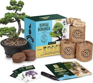 Kit de cultivo de bonsai japonês, melhor kit para cultivo de árvores de quince, conjunto de ferramentas para jardim, incenso real, mini kit de jardim para mesa, sacola de presente para casa, ideal para presente