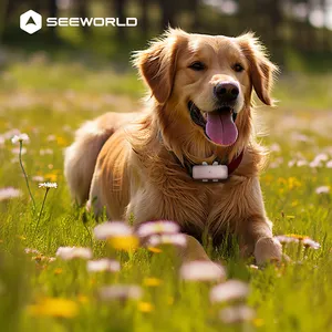 Ip67 Kleine Dier Mini Kraag Goedkope Prijs Hond Kat Smart Finder Locator 4G Real-Time Tracking Gps Tracker Voor Huisdieren