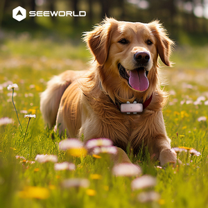 Localizador GPS para Mascotas, Mini Collar para Animales Pequeños, <span class=keywords><strong>Precio</strong></span> Económico, Rastreador Inteligente para Perros y Gatos, Seguimiento en Tiempo Real 4G - Product Image 1
