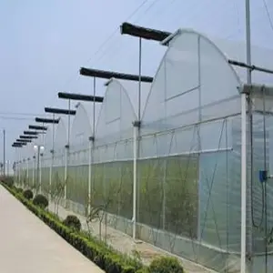 Hot Sale Chinese Greenhouse Landwirtschaft liches Gewächshaus Kit für Gemüse Kunststoff Gewächs häuser Preise