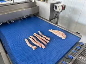 Haute qualité porc boeuf poisson viande mouton poulet poitrine viande fraîche trancheuse viande Cutter Machine - Product Image 2