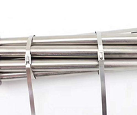 Attaches en acier inoxydable 304, 100 pièces, 4,6*300 mm, attaches métalliques pour clôtures extérieures et applications de fixation