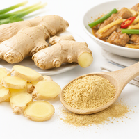 Poudre de gingembre jaune naturel séché de qualité alimentaire, gingembre moulu en vrac, vente en gros