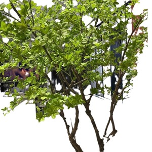Albero di Ciliegio Giapponese Decorativo di 4 Piedi, Vendita all'Ingrosso - Product Image 3