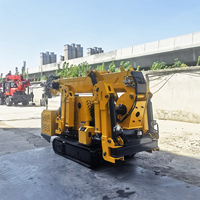 Grúa Araña con Pluma de 16 Metros, Motor Diésel Robin de 3 Toneladas, Orugas de Goma, Diseño Compacto, Fácil Transporte, 1 Año de Garantía