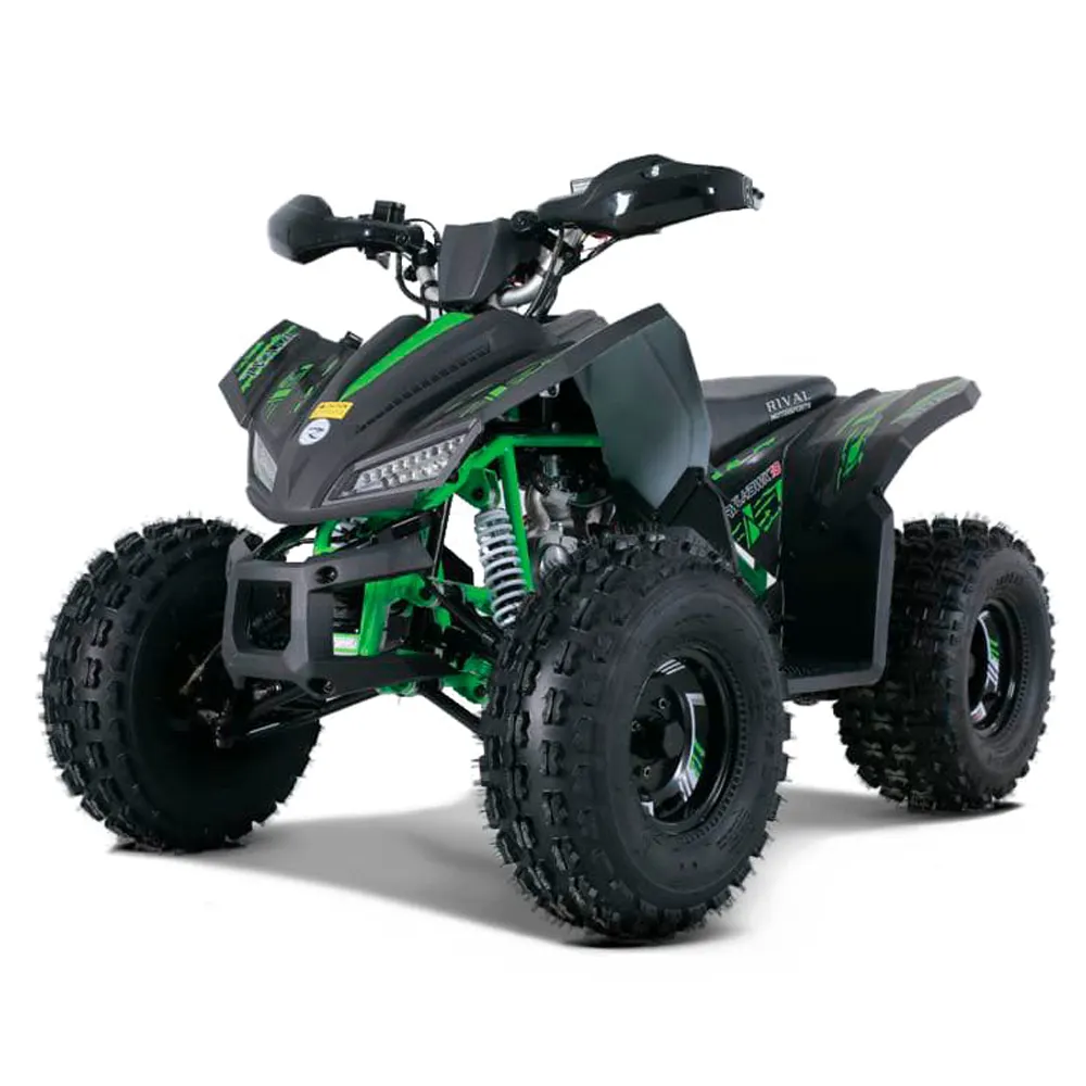 Motore Tao 125cc ATV 125cc automatico per bambini 12V 5AH freno a tamburo anteriore catena freno a disco posteriore Atv 125 150cc Atv Gas / Diesel