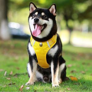 <span class=keywords><strong>Harnais</strong></span> <span class=keywords><strong>de</strong></span> poitrine réfléchissant personnalisé pour chien, style gilet, <span class=keywords><strong>anti</strong></span>-<span class=keywords><strong>traction</strong></span>, pour grands chiens, laisse incluse, OEM ODM - Product Image 5