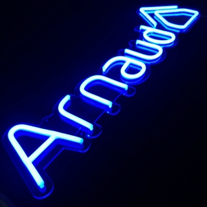 Insegne al Neon Decorative a LED con gemme Decorative su misura più vendute con grande insegna al Neon flessibile e varia - Product Image 2