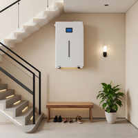 Batteries au lithium LiFePO4 solaires personnalisées 48V 100Ah-300Ah 5-15KWh 5-15KW avec cellules de qualité A, BMS, en boîtier sur roues, certifiées CE 6000+