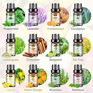 Huile capillaire à l'arbre à thé et au gingembre 100% pure, marque privée, essence, extrait de feuille de basilic, fleur, pour des cheveux lisses et brillants, hydratante - Product Image 1
