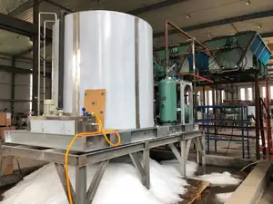 2 Ton 3 TON 5 TON Ice Flake Machine To Ship To Singapore