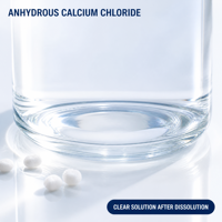 Chlorure de calcium anhydre en poudre, haute pureté, qualité industrielle, produit chimique