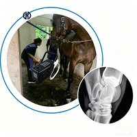 Scanner à rayons X électrique portable pour chevaux 1,8 kW, unité portable à rayons X pour équidés avec batterie pour utilisation en élevage d'animaux de grande taille