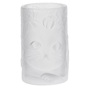 Tazza da tè in vetro smerigliato con gatto in rilievo, personalizzata, speciale per maestri di Kung Fu, per acqua, caffè, succo, whisky - Product Image 6